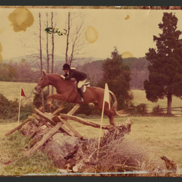 Venus Jones and one of her horses jump a fence while riding out cross country.